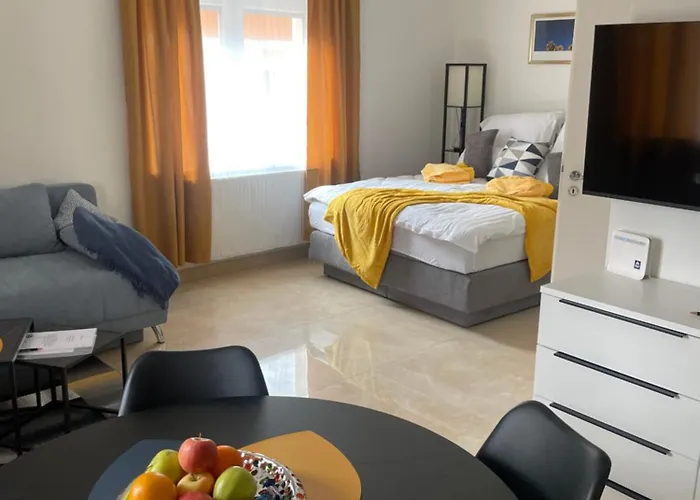 Seos Self Check In ,gratis Parken,apartment Mit Schlaf Und Studioapartmet Апартаменты Грац